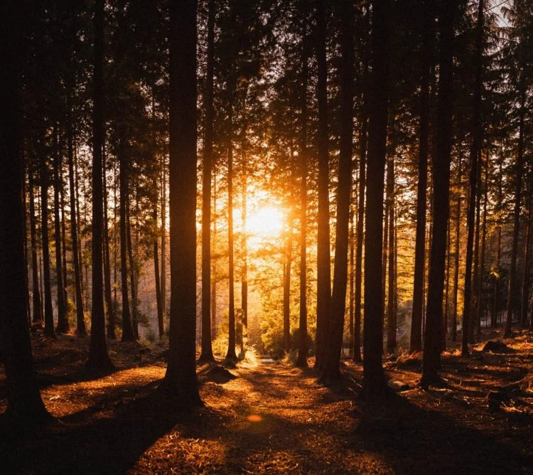 Der goldene Herbst in Deutschland