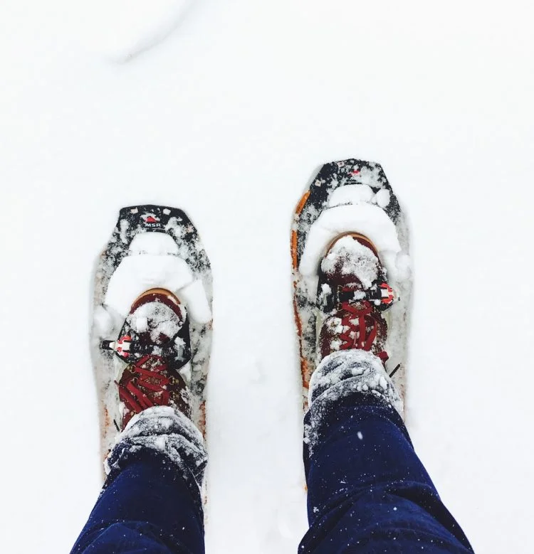 Schneeschuhe für den Winter