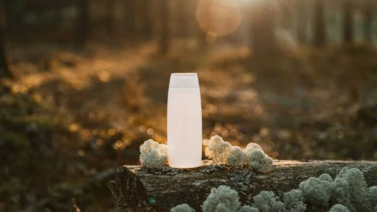 Campinglampe Test und Ratgeber